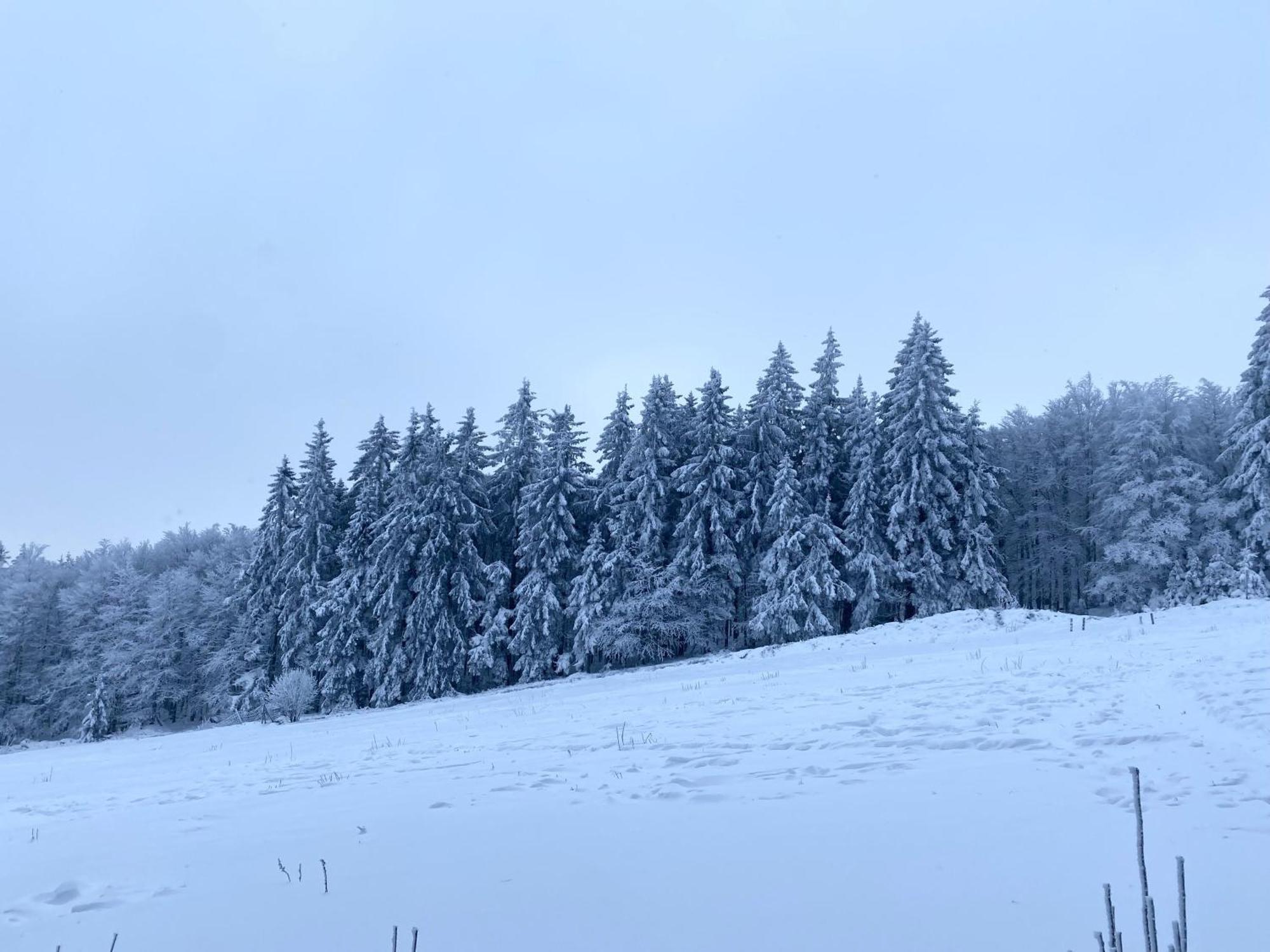 Le Chalet Du Hohwald Экстерьер фото